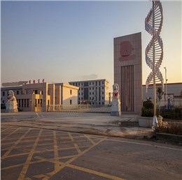 申江儲氣罐應用于上海某空調(diào)凈化設備有限公司